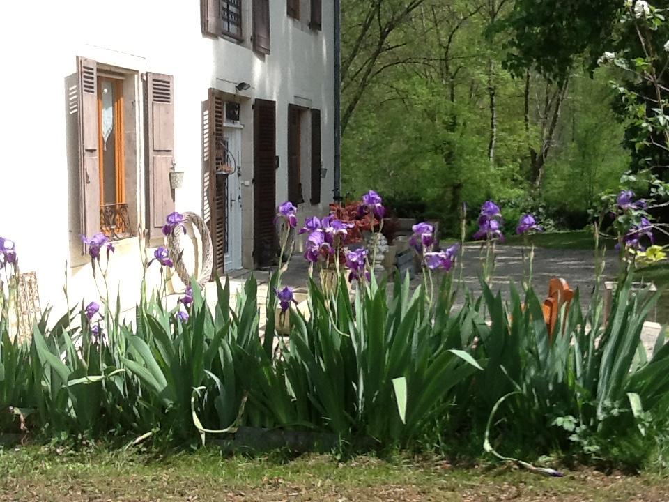 Domaine La Rose Bed & Breakfast Caylus Exterior photo
